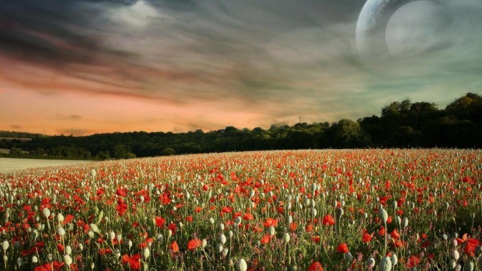 周杰伦为什么不告粥饼伦黑伦侵犯他的名誉权?